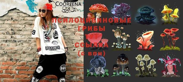 МДПВ Карпинск