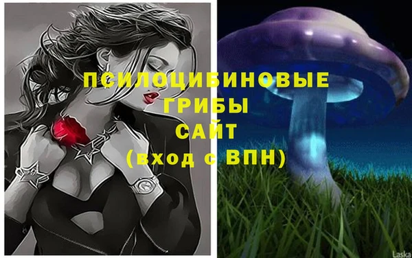 крисы Касимов