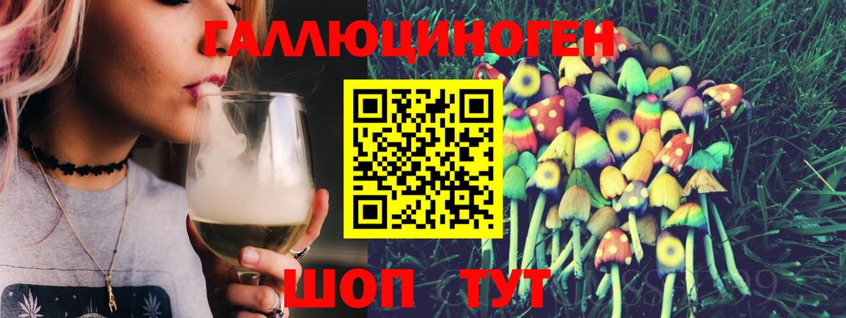 Псилоцибиновые грибы Psilocybine cubensis Конаково