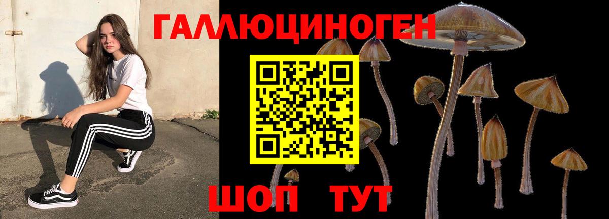 Галлюциногенные грибы мухоморы  дарнет шоп  Конаково  Вход с VPN 